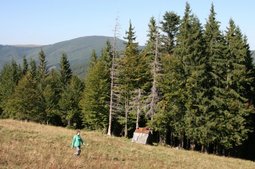 Полонина Буковец