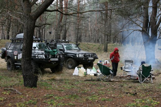 Лес в урочище Драчки