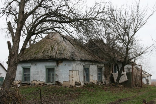 Камышовые крыши в селе Горошино