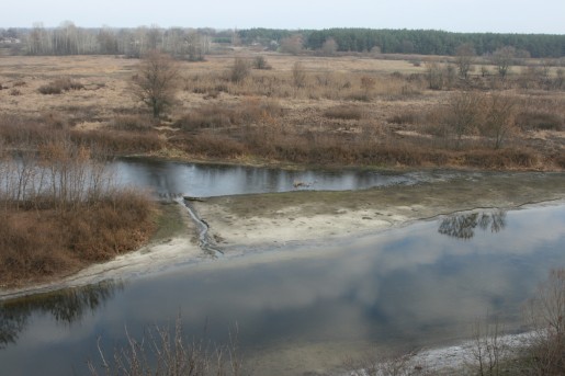 Вид с территории городища в селе Тарасовка на реку Сула