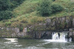 За дамбой Трушковского водохранилища