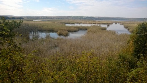 Природный заповедник Сребырна