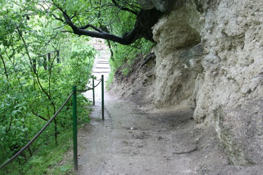 В заповеднике Сахарна