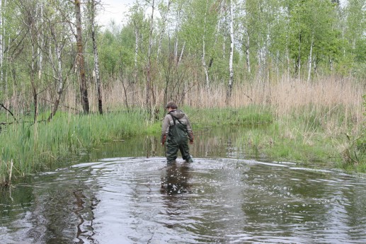 Поиск брода у рыбного хозяйства