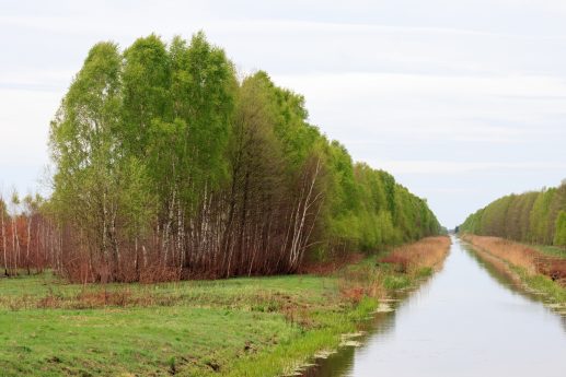 Где-то в верховьях реки Припять