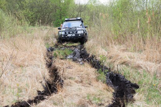 Прохождение заболоченного участка на северо-востоке озера Пулемецкое